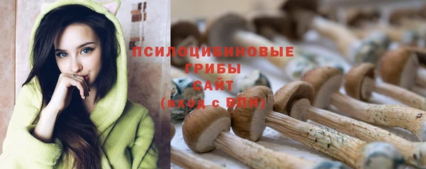 мяу мяу мука Надым