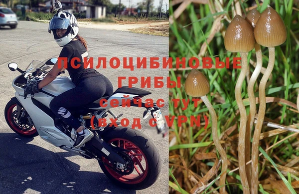 мдпв Нея
