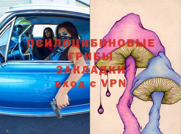 мдпв Нея